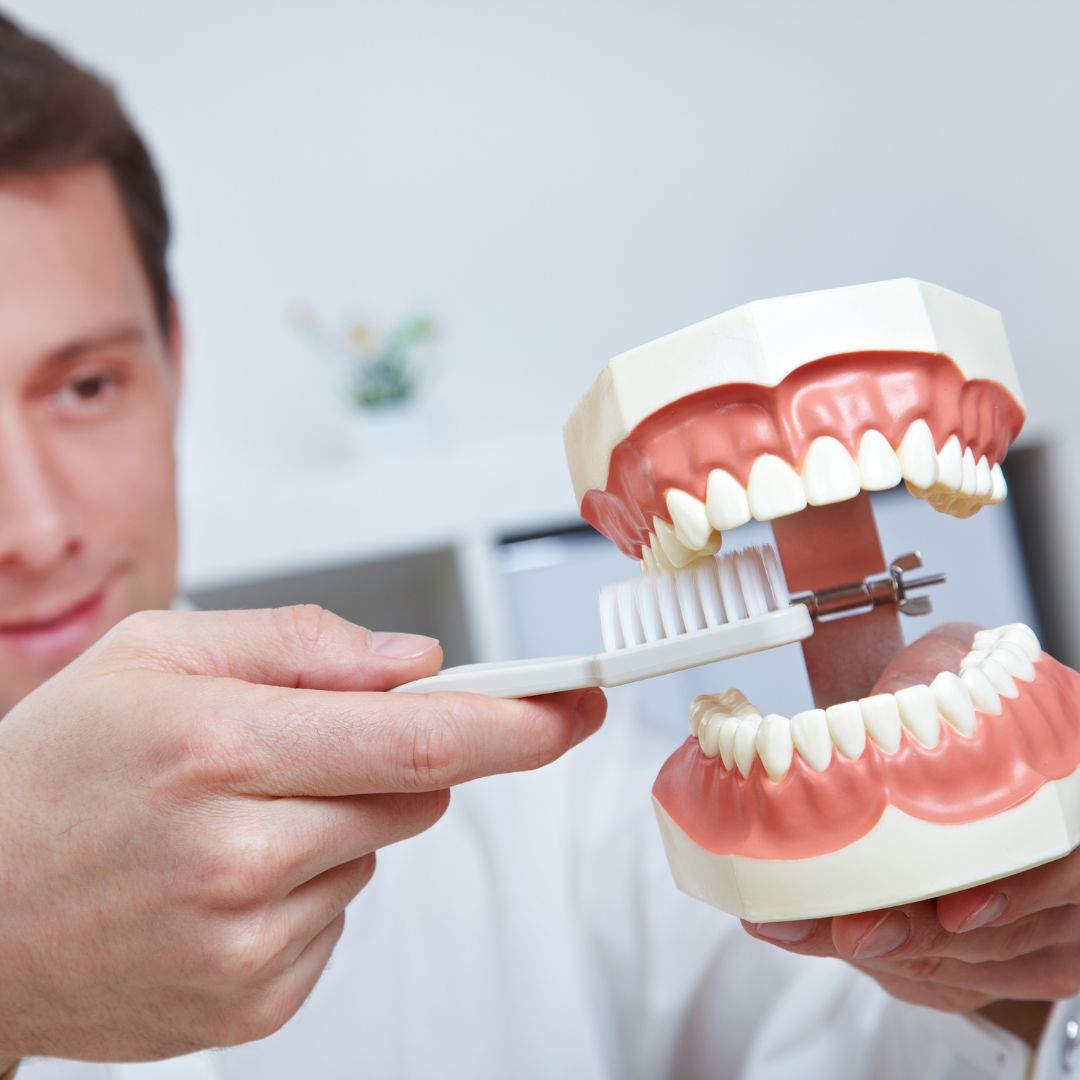 Dentist showing tooth mold