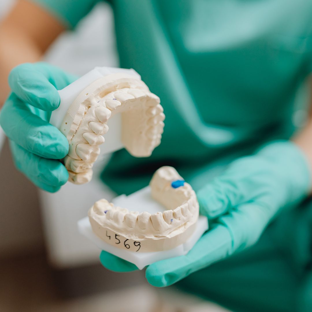 the model of a mouth with a crown